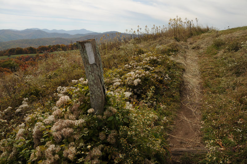 Appalachian Trail on Max Patch Mountain